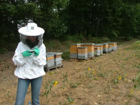 photo coins arrondis